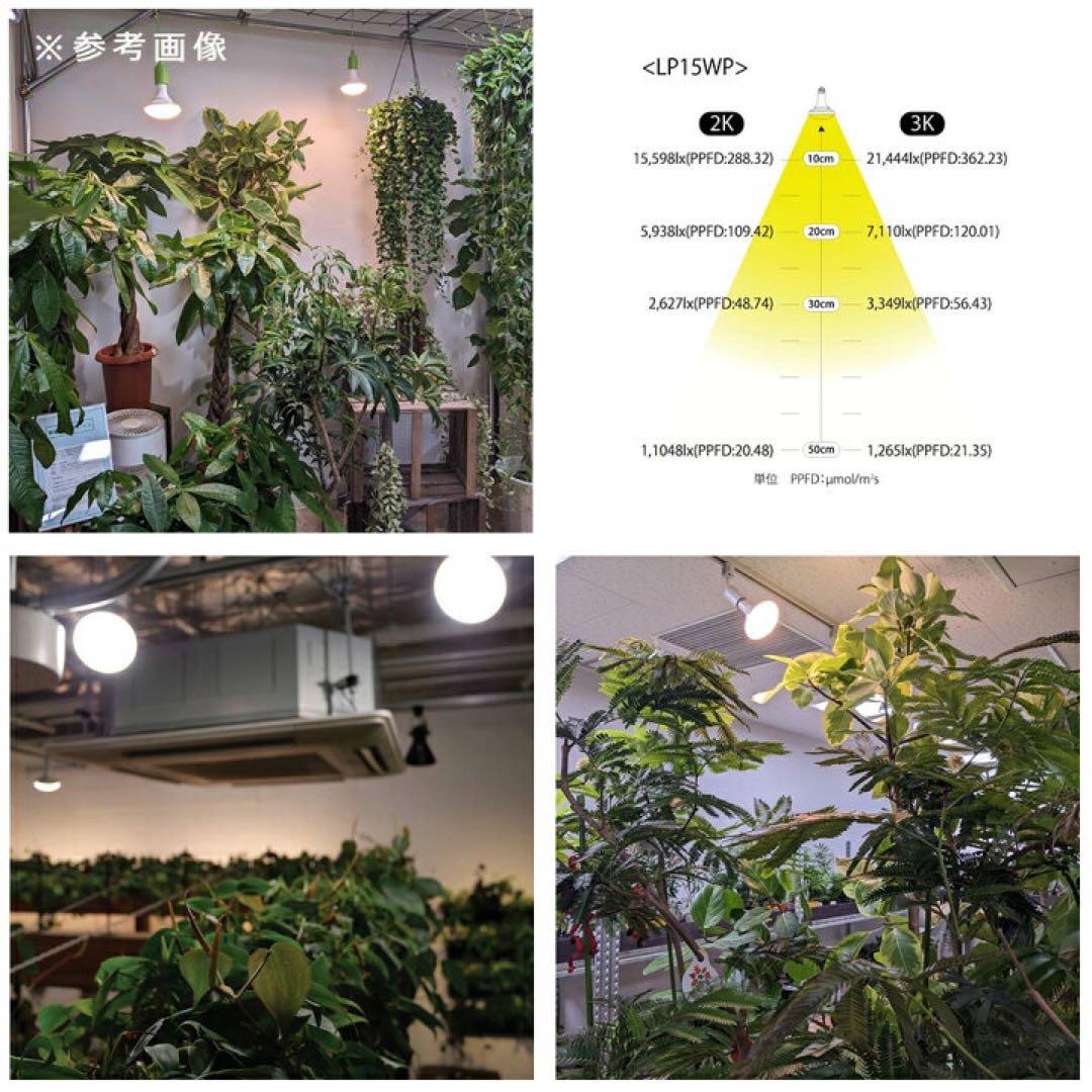 フューチャーライト　ＬＰＬ１５ＷＢ　３Ｋ　植物育成用ライト　ＬＥＤ　観葉植物