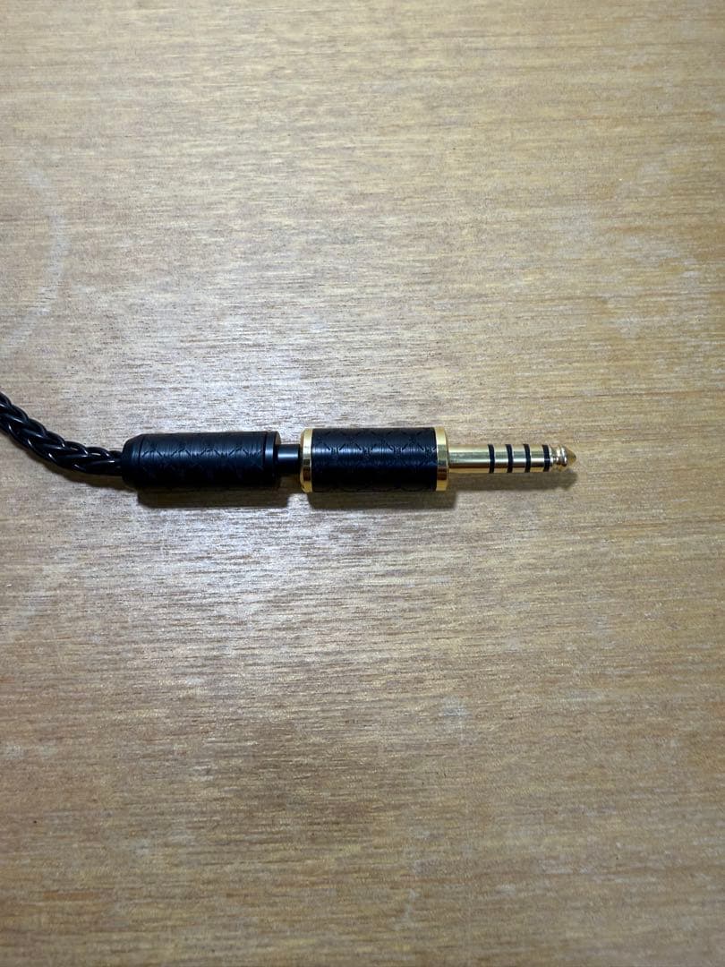 イヤホン Vision Ears EXT
