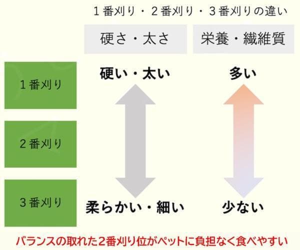 US産 チモシー 120kg ２番刈り ソフトスーパープレミアム