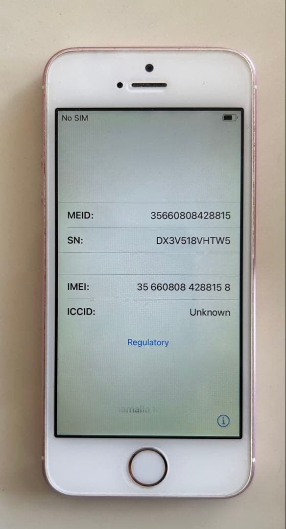 iPhone SE 第1世代 128GB SIMロックあり コンパクト サブ機