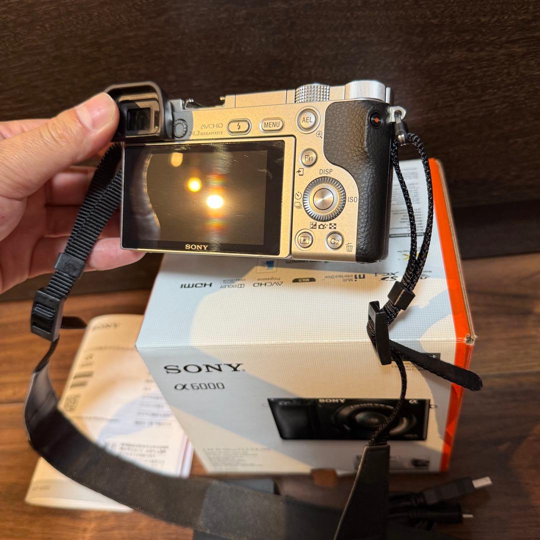 【美品】SONY α6000 665枚撮影