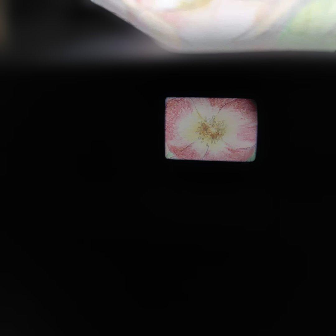 ☆☆美品❕完動品☆☆OLYMPUS μ[mju:] ZOOM Panorama